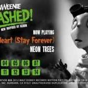 Il testo BUILDING A MONSTER - SKYLAR GREY di FRANKENWEENIE [OST] è presente anche nell'album Frankenweenie unleashed! (2012)