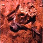 Il testo MUTE RAIN dei CATTLE DECAPITATION è presente anche nell'album Human jerky (1999)