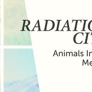 Il testo CALL ME di RADIATION CITY è presente anche nell'album Animals in the median (2013)