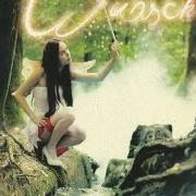 Il testo METMASCHINE dei FEUERSCHWANZ è presente anche nell'album Wunsch ist wunsch (2011)