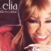 Il testo AMORES DE UN DIA di CELIA CRUZ è presente anche nell'album Azucar negra (1993)