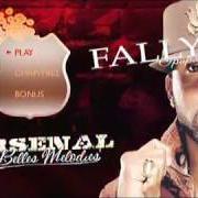 Il testo MON AMOUR dei FALLY IPUPA è presente anche nell'album Arsenal de belles melodies (2009)