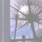 Il testo BREATHE HONESTY di KINA GRANNIS è presente anche nell'album In memory of the singing bridge (2006)