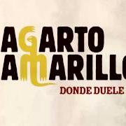 Il testo DEJARSE LA PIEL dei LAGARTO AMARILLO è presente anche nell'album Estoy mintiendo de verdad (2012)