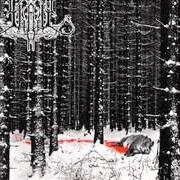 Il testo DER MÜHE LOHN di SKADY è presente anche nell'album Eyn raunen im tannicht (2009)