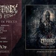 Il testo SKIN TURNING GREY dei CENTINEX è presente anche nell'album Death in pieces (2020)