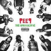 Il testo OVERSEAS di PRO.ERA è presente anche nell'album Peep: the aprocalypse (2012)