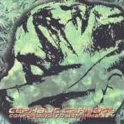Il testo ANALYTICAL dei CEPHALIC CARNAGE è presente anche nell'album Conforming to abnormality (1998)