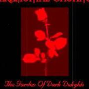 The garden of dark delights The garden of dark delights