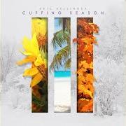 Il testo UNDRESS di ERIC BELLINGER è presente anche nell'album Cuffing season 3 (2019)