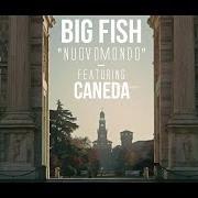 Il testo NON SI TORNA INDIETRO di BIG FISH è presente anche nell'album Niente di personale (2013)