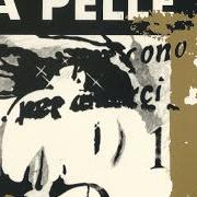 Il testo USELESS HATE di CESARE BASILE è presente anche nell'album La pelle (1995)