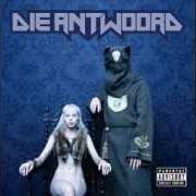 Il testo MY BEST FRIEND dei DIE ANTWOORD è presente anche nell'album $o$ (2009)