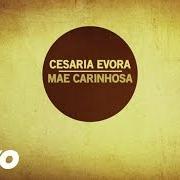 Il testo TCHON DE FRANÇA di CESARIA EVORA è presente anche nell'album Mãe carinhosa (2013)