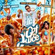 Il testo HALF A BRICK di OJ DA JUICEMAN è presente anche nell'album I got the juice (2008)