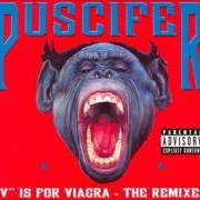 Il testo CUNTRY BONER dei PUSCIFER è presente anche nell'album V is for vagina (2007)