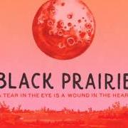 Il testo WHAT YOU GAVE dei BLACK PRAIRIE è presente anche nell'album A tear in the eye is a wound in the heart (2012)