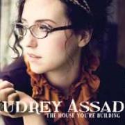 Il testo THE HOUSE YOU'RE BUILDING di AUDREY ASSAD è presente anche nell'album The house you're building (2010)