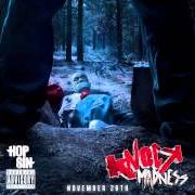 Il testo JUNGLE BASH di HOPSIN è presente anche nell'album Knock madness (2013)