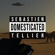 Il testo VENEZIA di SÉBASTIEN TELLIER è presente anche nell'album Domesticated (2020)