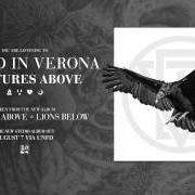 Il testo HURRICANE dei BURIED IN VERONA è presente anche nell'album Vultures above, lions below (2015)