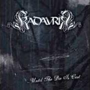 Il testo BAPTISED IN ALCOHOL di KADAVRIK è presente anche nell'album Until the die is cast (2007)