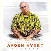 Il testo VERMISSE DEN BLOCK di OLEXESH è presente anche nell'album Augen husky 2 (2024)