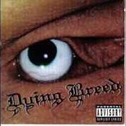 Il testo HATEFUCK di DYING BREED è presente anche nell'album Hatefuck (1996)
