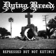 Il testo SHELTERING di DYING BREED è presente anche nell'album Represed but not extinct (1994)