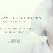 Il testo DON'T WANT TO LET YOU DOWN di SHARON VAN ETTEN è presente anche nell'album I don't want to let you down (2015)