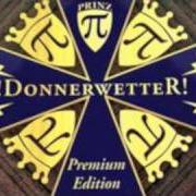 Il testo ÜBER DIE BERGE di PRINZ PI è presente anche nell'album Donnerwetter (2006)