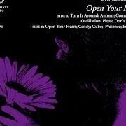Il testo CUBE dei THE MEN è presente anche nell'album Open your heart (2012)