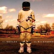 Il testo HIYAYAYAYAYAYA di K.S. RHOADS è presente anche nell'album The wilderness (2013)