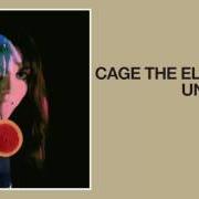 Il testo TOO LATE TO SAY GOODBYE dei CAGE THE ELEPHANT è presente anche nell'album Unpeeled (2017)