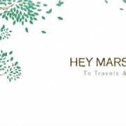 Il testo TO TRAVELS AND TRUNKS di HEY MARSEILLES è presente anche nell'album To travels & trunks (2010)