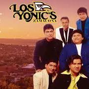 Il testo TE VAS AMOR dei LOS YONIC'S è presente anche nell'album Enamorados (1994)