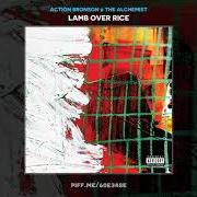 Il testo TEAR AWAY SHORTS di ACTION BRONSON è presente anche nell'album Lamb over rice (2019)