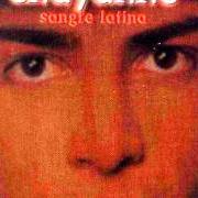 Il testo LATIN LOVER di CHAYANNE è presente anche nell'album Sangre latina (1986)
