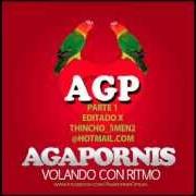 Il testo EN EL MUELLE DE SAN BLAS di AGAPORNIS è presente anche nell'album Agapornis - volando con ritmo (2012)