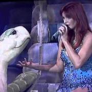 Il testo SCHILDKRÖTE SUSHI di ANDREA BERG è presente anche nell'album Schildkröte sushi (2013)