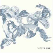Il testo SAM di THONY è presente anche nell'album Birds (2012)