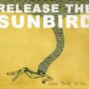 Il testo PAPER ALLIES di RELEASE THE SUNBIRD è presente anche nell'album Come back to us (2011)