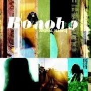 Il testo SHADOWTRICKS di BONOBO è presente anche nell'album Animal magic (2001)