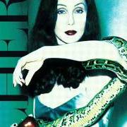 Il testo IT'S A MAN'S MAN'S MAN'S WORLD di CHER è presente anche nell'album It's a man's world (1995)