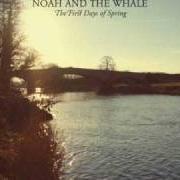 Il testo STRANGER dei NOAH AND THE WHALE è presente anche nell'album The first days of spring