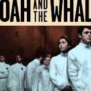 Il testo ALL THROUGH THE NIGHT dei NOAH AND THE WHALE è presente anche nell'album Heart of nowhere (2013)