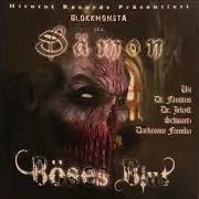 Il testo DER REICHSTE SCHEISS-DÄMON di BLOKKMONSTA è presente anche nell'album Böses blut (2007)