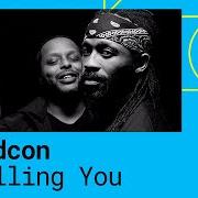 Il testo NO LIES di MADCON è presente anche nell'album Callin you (2019)