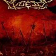 Il testo VIPERION ARDANT degli ABUSED MAJESTY è presente anche nell'album Crusade for immortality - demo (2006)