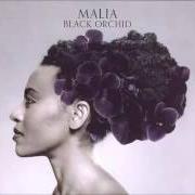 Il testo FOUR WOMEN di MALIA è presente anche nell'album Black orchid (2012)